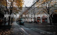 星庐信息港 _ 账号安全与风控提示（站点指南）