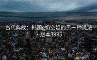 古代典故：韩国g奶空姐的另一种说法 · 版本3985