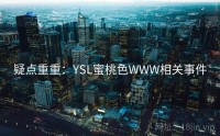 疑点重重：YSL蜜桃色WWW相关事件