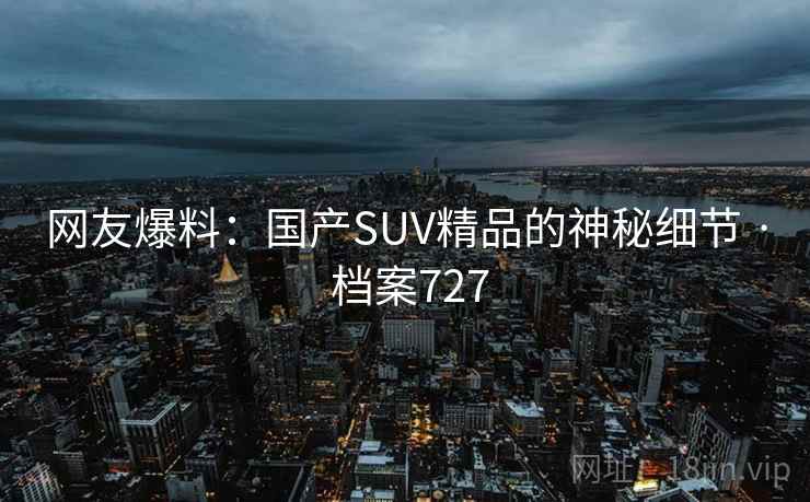 网友爆料：国产SUV精品的神秘细节 · 档案727