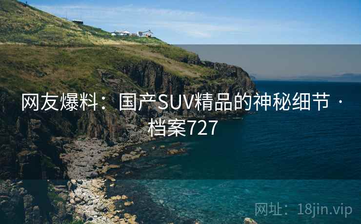 网友爆料：国产SUV精品的神秘细节 · 档案727
