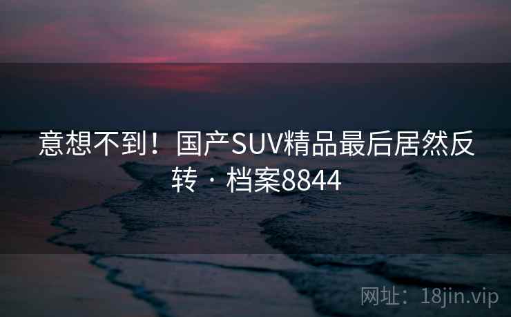 意想不到！国产SUV精品最后居然反转 · 档案8844
